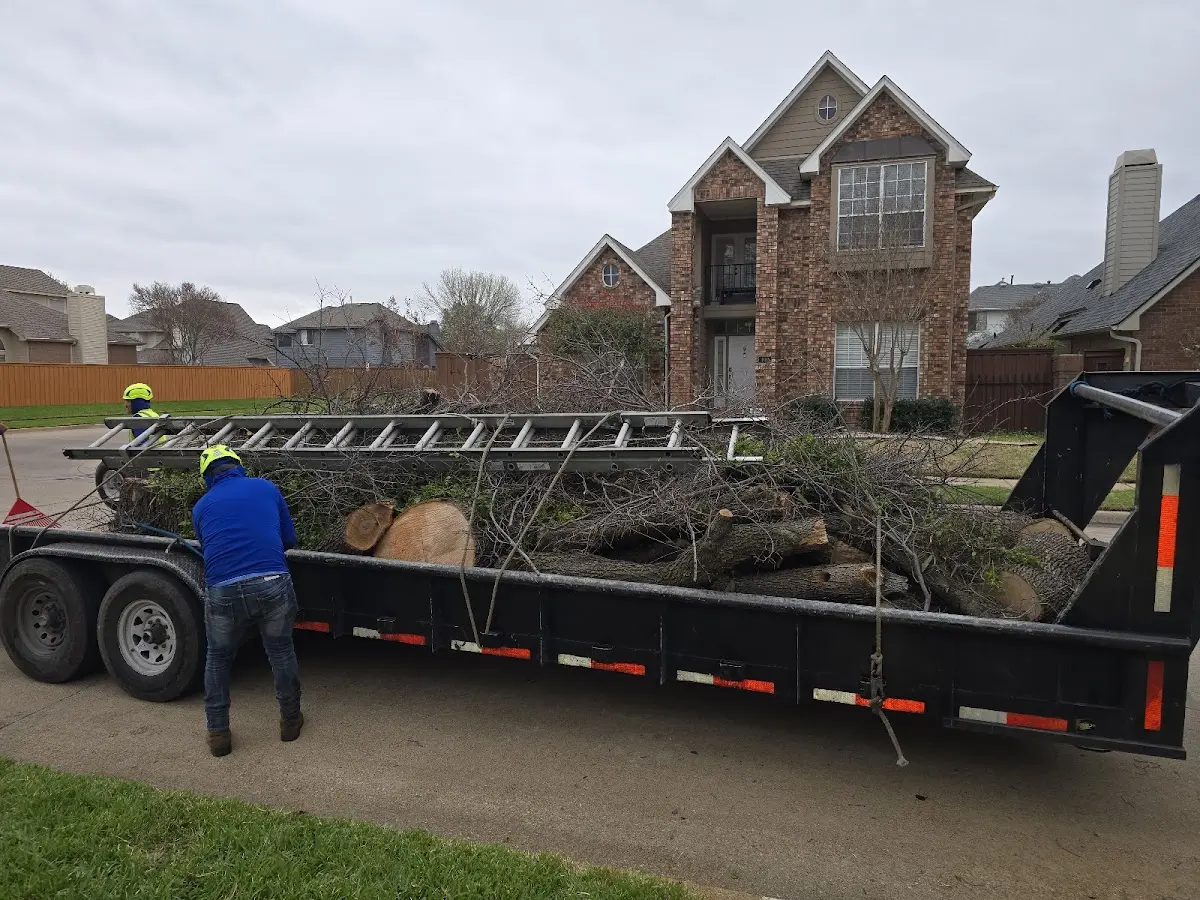 Expert Crown Reduction with proper safety equipment in Scarsdale
